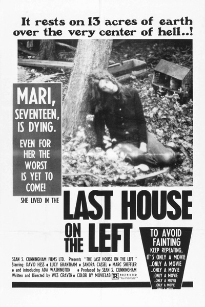 Poster for The Last House on the Left (1972)