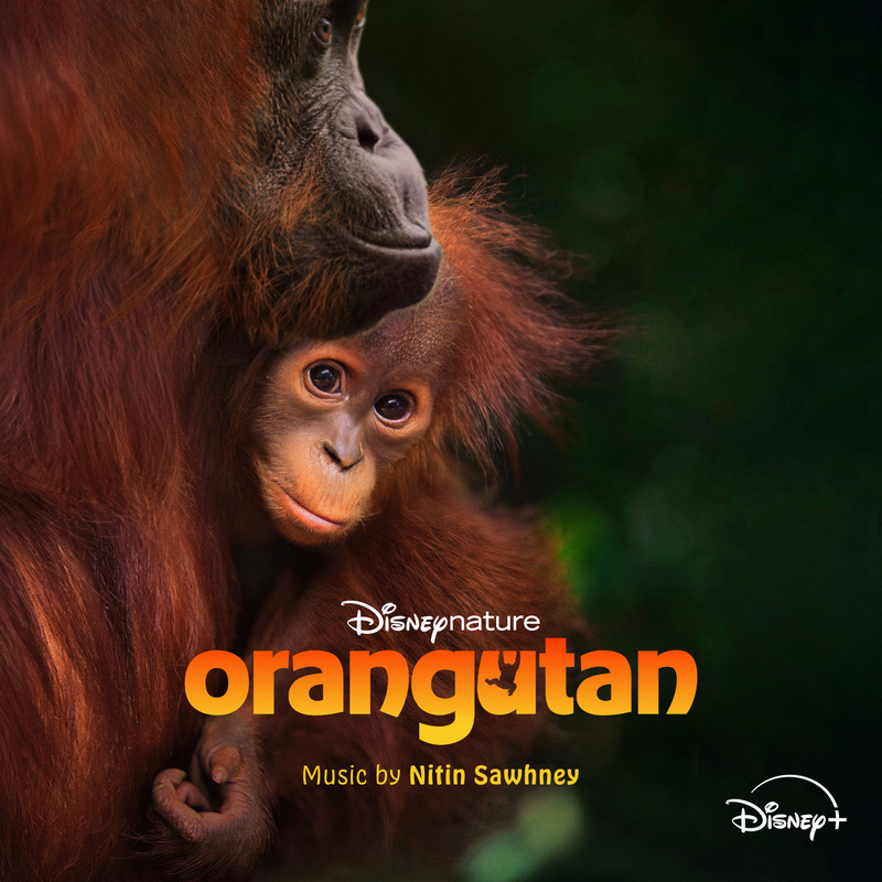 Album cover for Disneynature: Orangutan (Original Soundtrack) by Nitin Sawhney - Walt Disney Records 2026