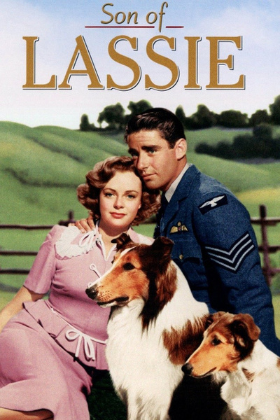 Poster for Son of Lassie (1945)