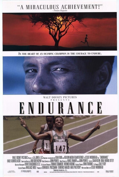 Poster for Endurance (1998)