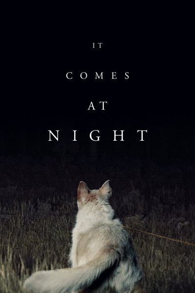Poster for It Comes at Night (2017)