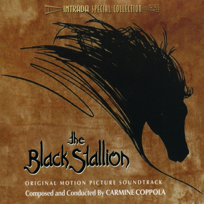 Cover art for The Black Stallion