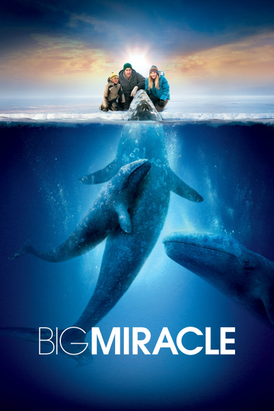 Poster for Big Miracle (2012)