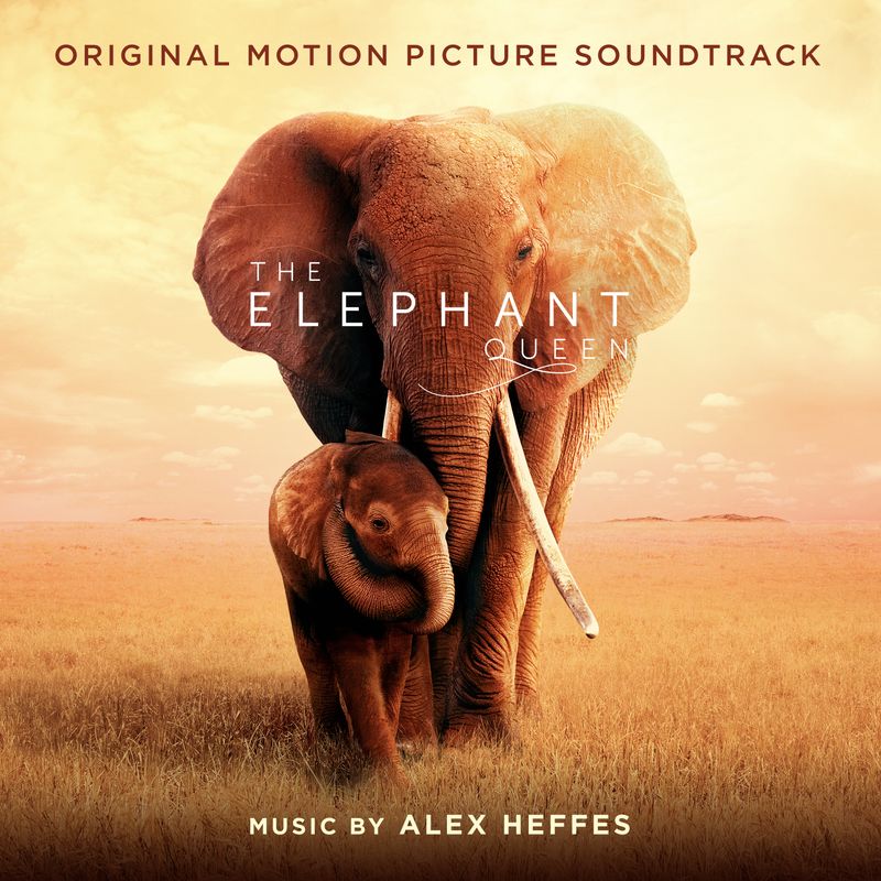 Cover art for The Elephant Queen (Original Motion Picture Soundtrack)