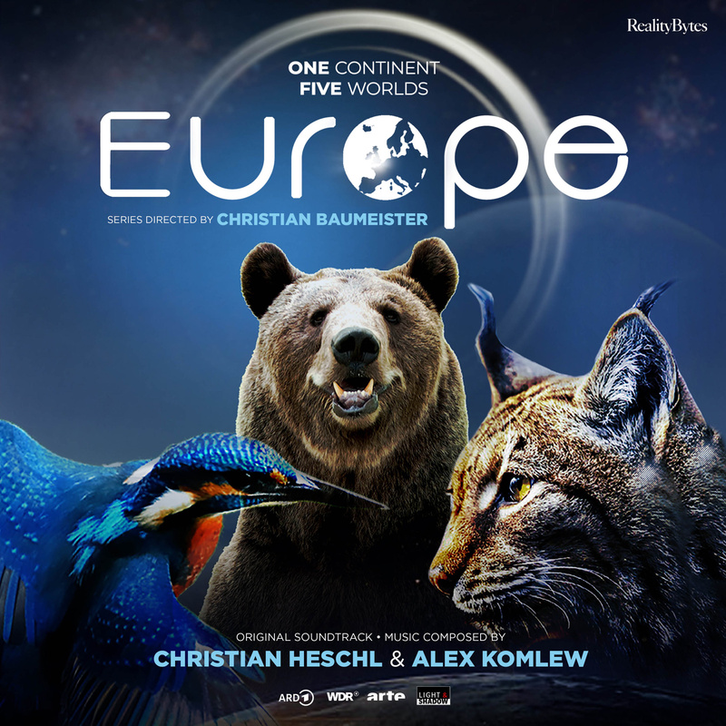 Cover art for Bats Hunting (from "Europe: One Continent - Five Worlds")