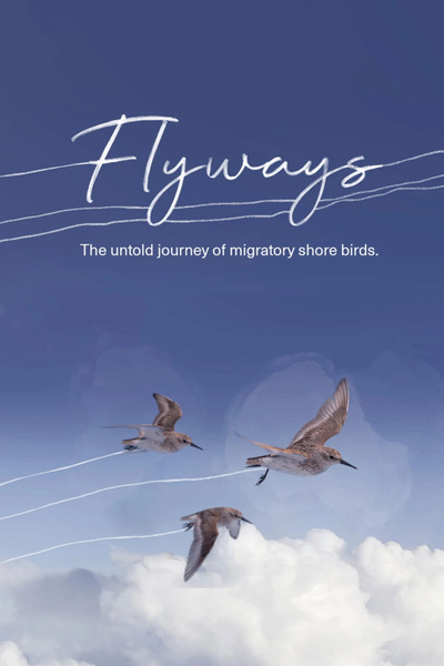 Poster for Flyways: The Untold Journey of Migratory Shore Birds (2023)