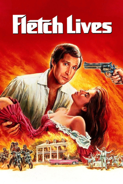 Poster for Fletch Lives (1989)