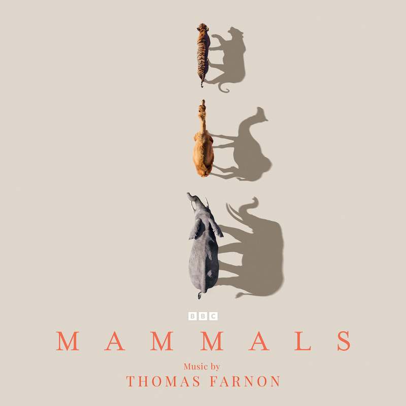 Album cover for Mammals (Original Television Soundtrack) by Thomas Farnon - Chromium Music Group 2024