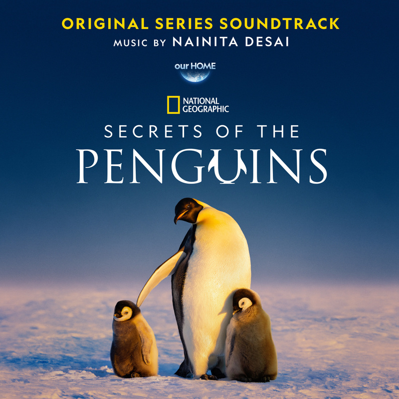 Album cover for Secrets of the Penguins (Original Series Soundtrack) by Nainita Desai - Hollywood Records 2025