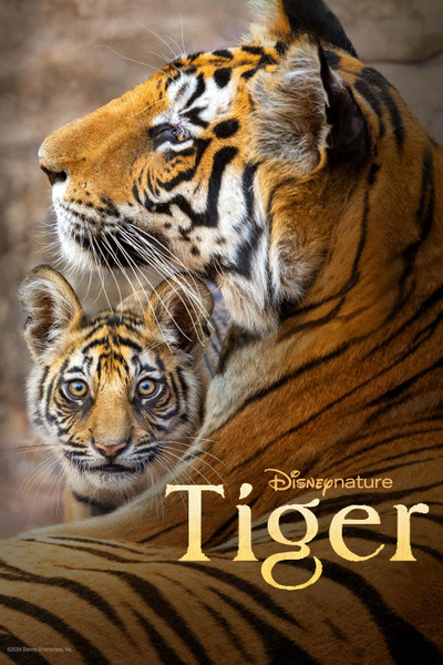 Poster for Tiger (2024)