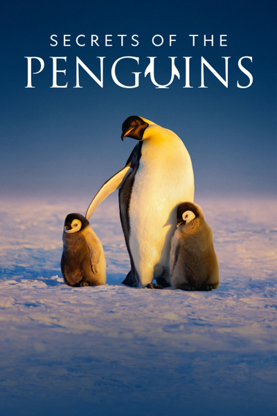 Secrets of the Penguins posterSecrets of the Penguins