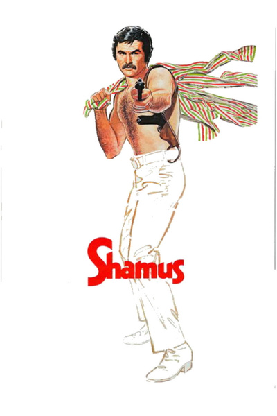 Poster for Shamus (1973)