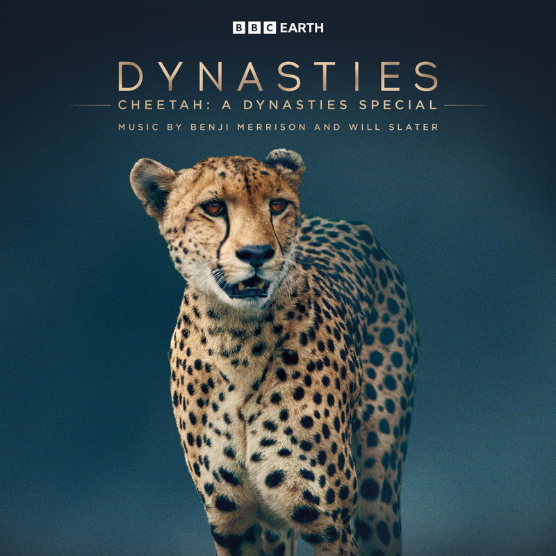 Cover art for Cheetah: A Dynasties Special (Original Television Soundtrack)