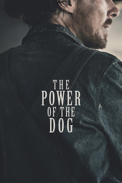 Poster for The Power of the Dog (2021)