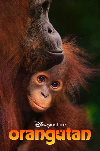 Poster for Orangutan (2026)