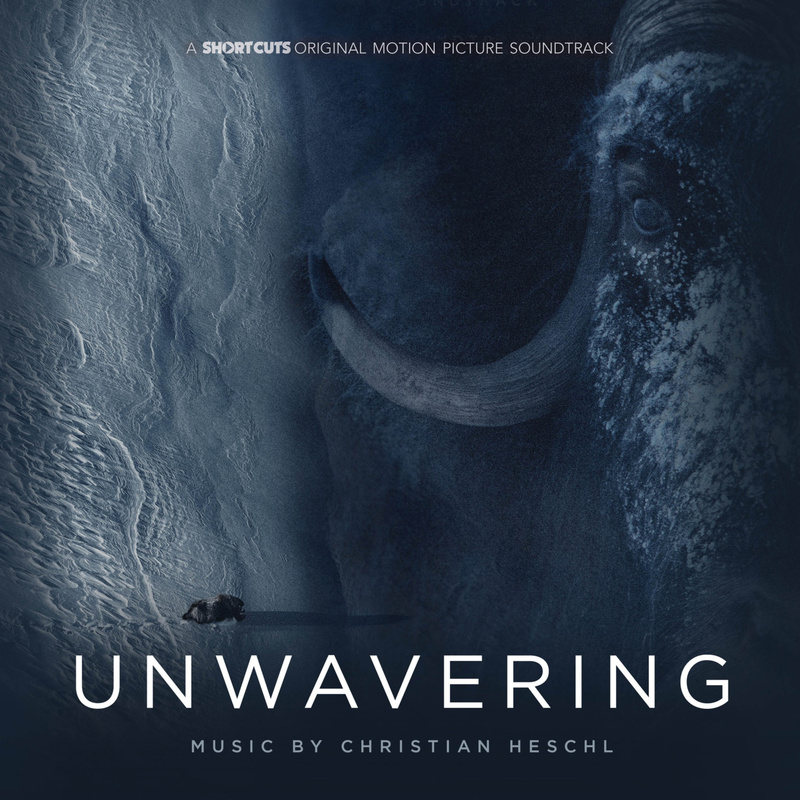 Cover art for Unwavering (Original Motion Picture Soundtrack)