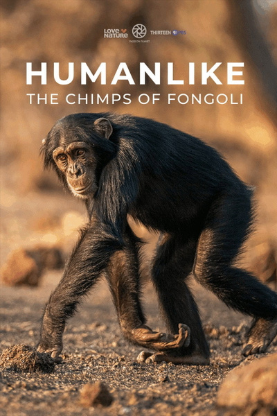 Humanlike - The Chimps of Fongoli posterHumanlike - The Chimps of Fongoli