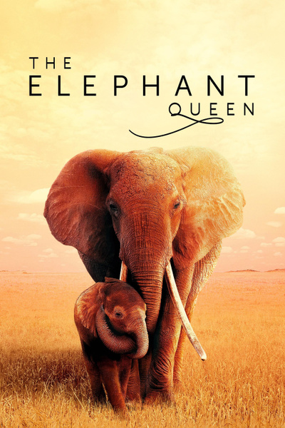 Poster for The Elephant Queen (2019)