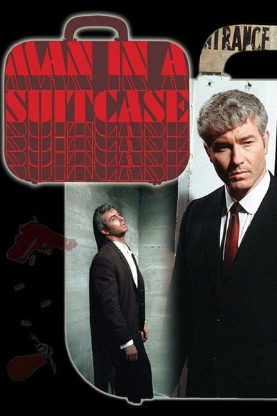 Poster for Man in a Suitcase (1x12): Find the Lady (1967)