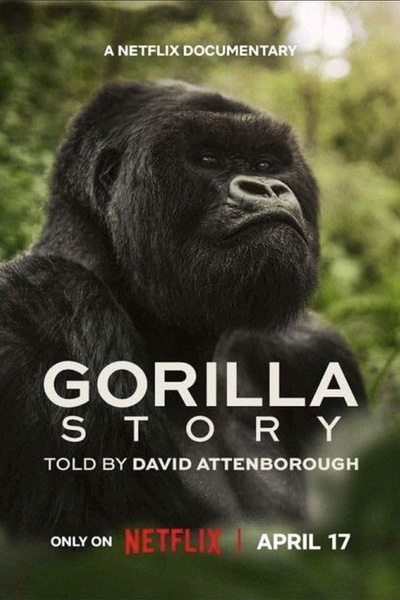 Poster for A Gorilla Story: Told by David Attenborough (2026)