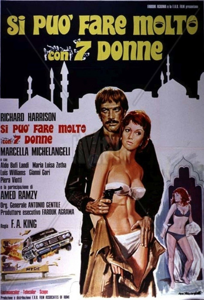 Si può fare molto con 7 donne poster