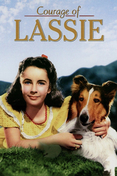 Poster for Courage of Lassie (1946)