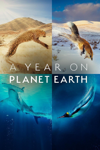 Poster for A Year on Planet Earth (2022)