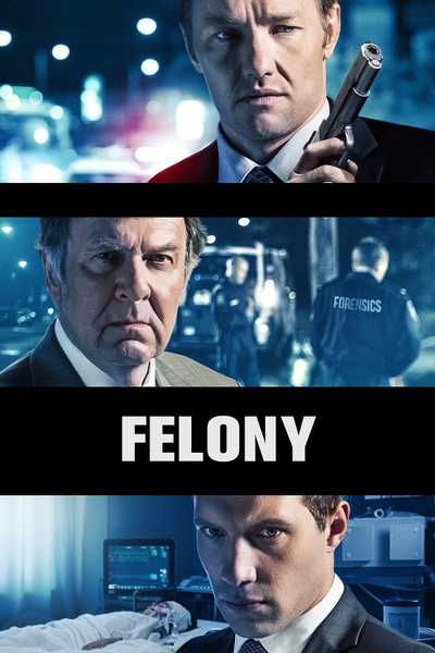 Poster for Felony (2013)