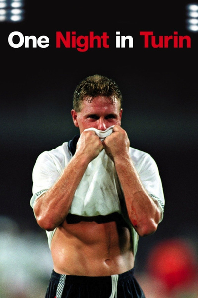 Poster for One Night in Turin (2010)