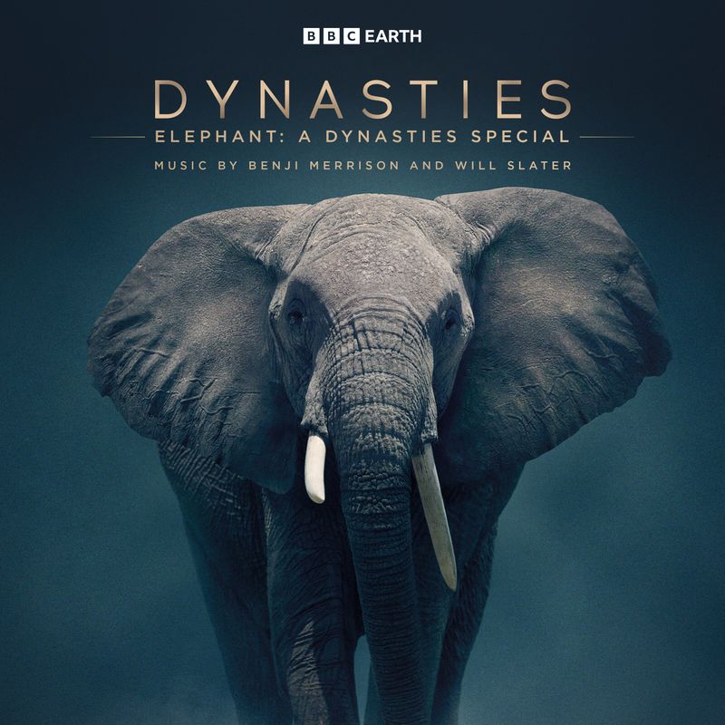 Cover art for Elephant: A Dynasties Special (Original Television Soundtrack)