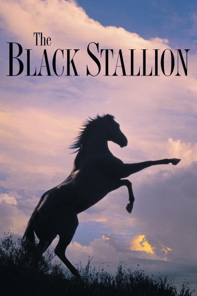 Poster for The Black Stallion (1979)