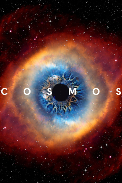 Poster for Cosmos: A Spacetime Odyssey (2014)