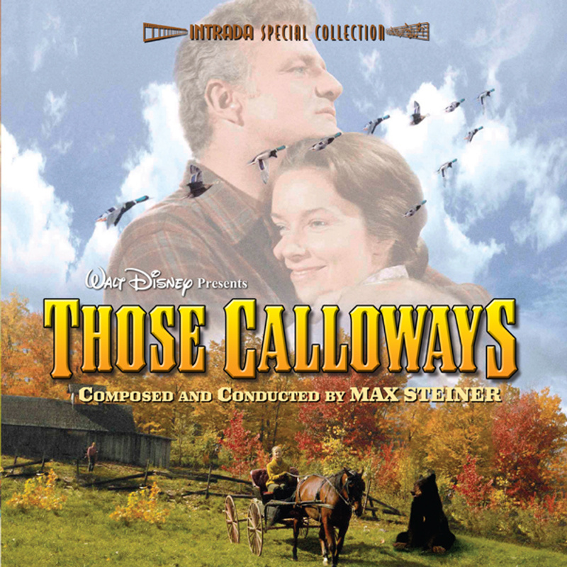 Cover art for Those Calloways