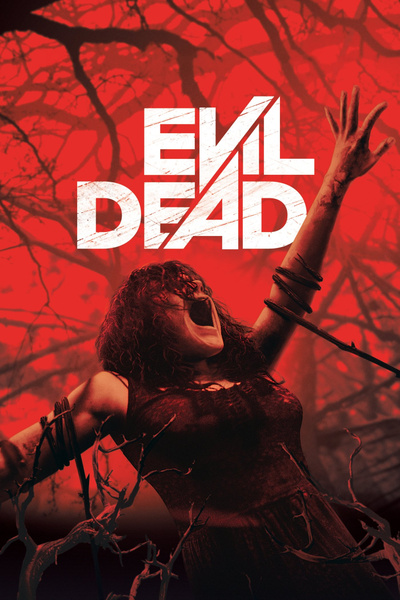 Poster for Evil Dead (2013)