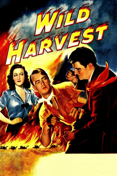 Poster for Wild Harvest (1947)