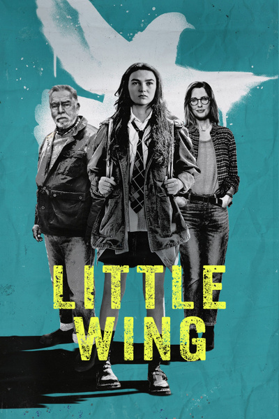 Poster for Little Wing (2024)
