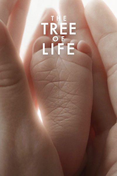 Poster for Tree of Life (2011)