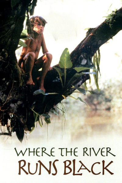 Poster for Where the River Runs Black (1986)