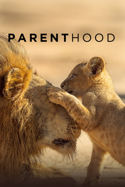 Poster for Parenthood (1x01): The Greatest Adventure (2025)