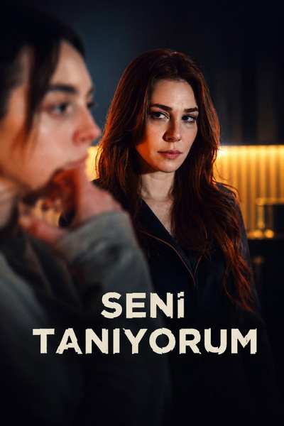 Seni Tanıyorum posterSeni Tanıyorum