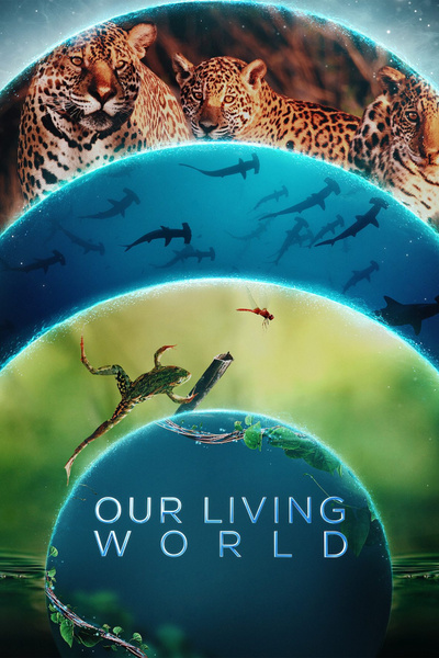 Poster for Our Living World (2024)