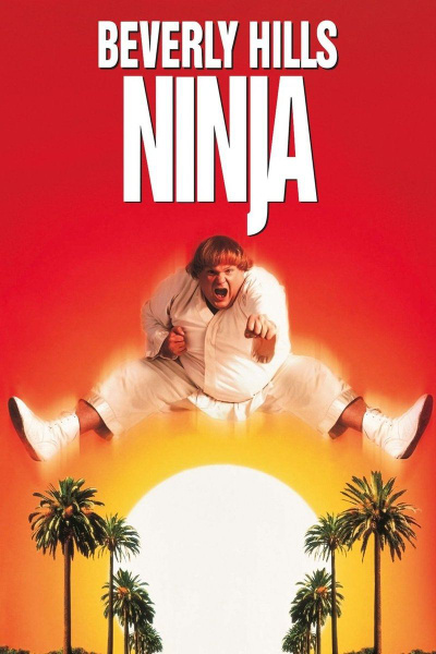 Beverly Hill Ninja poster