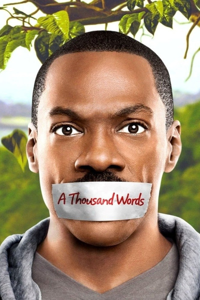 Poster for A Thousand Words (2012)