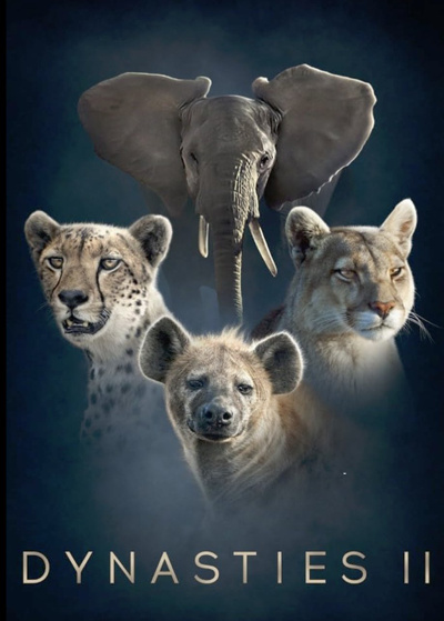 Poster for Dynasties II (2024)
