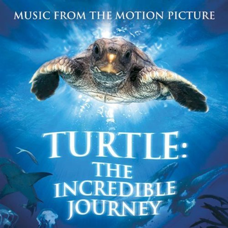 Cover art for Turtle: The Incredible Journey