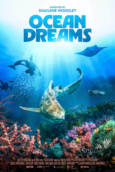 Ocean Dreams poster