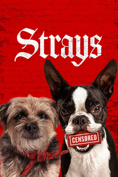 Poster for Strays (2023)