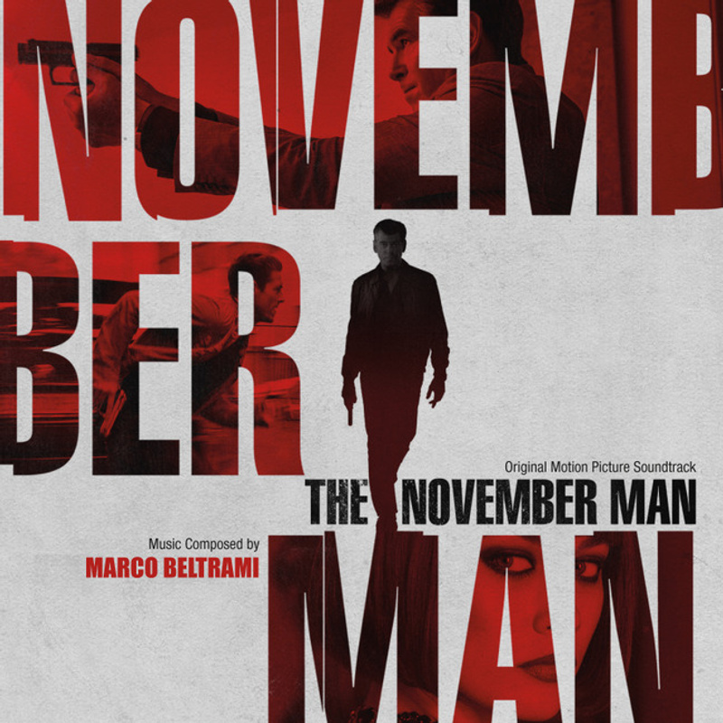 Cover art for The November Man