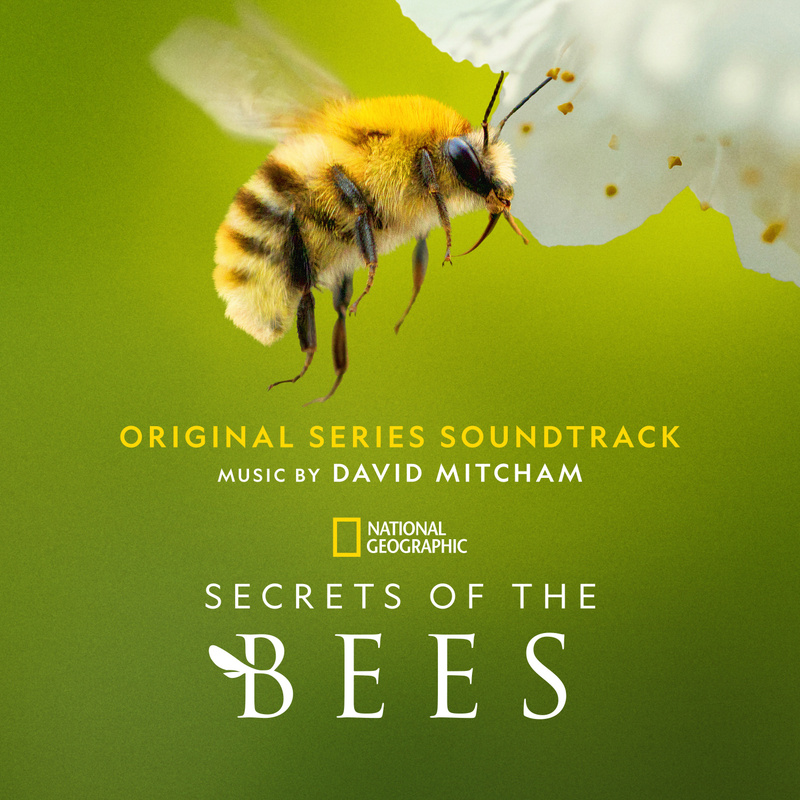 Album cover for Secrets of the Bees (Original Series Soundtrack) by David Mitcham - Hollywood Records 2026