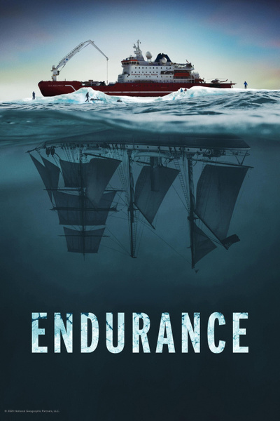 Poster for Endurance (2024)